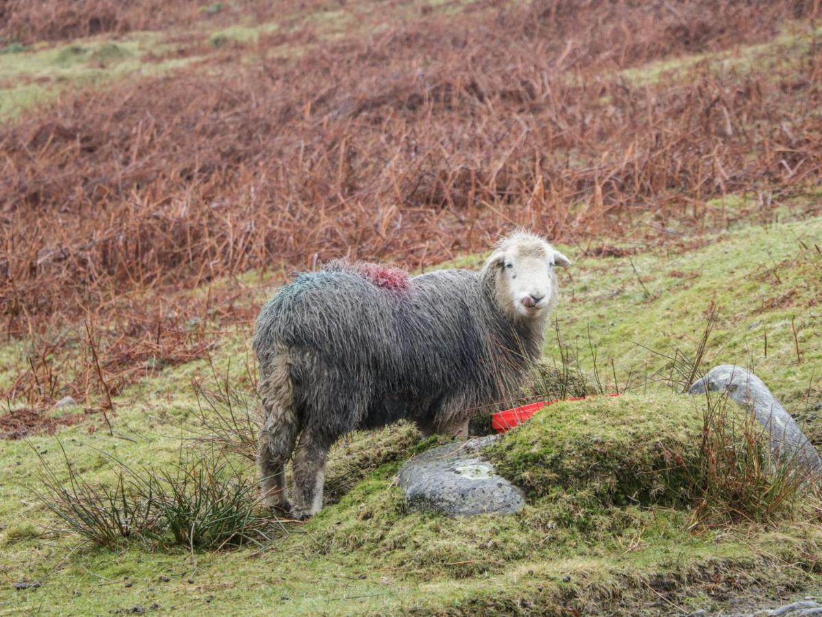 Howgill Lodge ケンダル エクステリア 写真